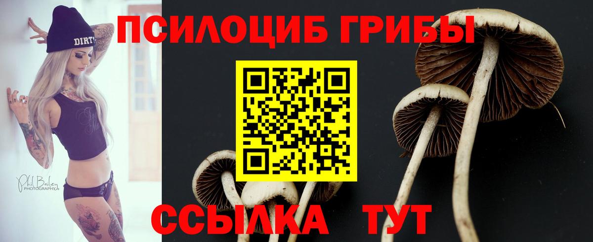 Галлюциногенные грибы GOLDEN TEACHER Качканар